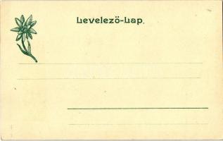 Tátra, Magas-Tátra, Vysoké Tatry; A Lomnici-csúcs megmászása a Téry menháztól a Jordan úton keresztü...