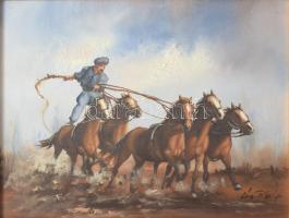 Bán Tibor (1963-): Hortobágyi csikós. Olaj, farost, jjl.: Bán Tibor. 20x25 cm, Dekoratív keretben
