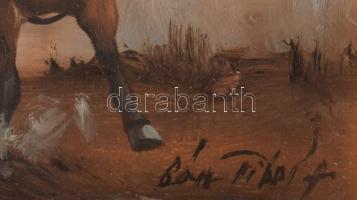 Bán Tibor (1963-): Hortobágyi csikós. Olaj, farost, jjl.: Bán Tibor. 20x25 cm, Dekoratív keretben