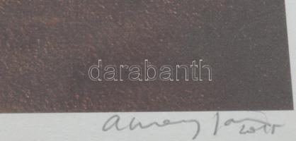 Aknay János (1949- ): (5), computer print, merített papír, jelzett, művészpéldány. hátoldalán autogr...