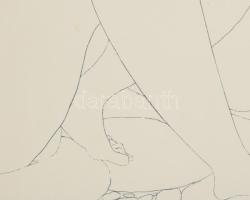 Amerigo Tot (1909-1984): Női aktok Szitanyomat, papír, jelzett, üvegezett fakeretben 44x32 cm