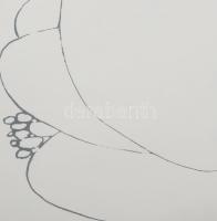 Amerigo Tot (1909-1984): Női aktok Szitanyomat, papír, jelzett, üvegezett fakeretben 44x32 cm