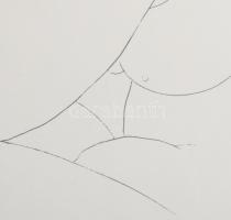 Amerigo Tot (1909-1984): Női aktok Szitanyomat, papír, jelzett, üvegezett fakeretben 44x32 cm