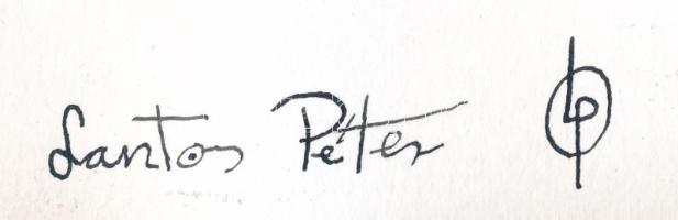 Lantos Péter (1977-): Tarr Béla filmrendező. Tus, akvarell, papír, jelzett, hátoldalán autográf feli...