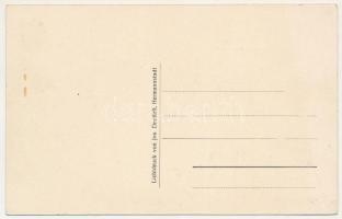 Segesvár, Schässburg, Sighisoara; Der erste Siebenbürgisch-sächsische Flieger Albert Ziegler zwische...