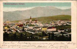 1910 Besztercebánya, Banská Bystrica; látkép. Walther Adolf és Társa kiadása / general view (EB)