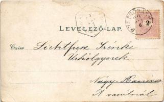 1899 Breznóbánya, Brezno nad Hronom; Római katolikus templom, látkép, M. kir. állami polgári fiú és ...