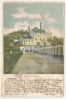 1903 Lippa, Lipova; Bräuhaus / sörfőzde, sörgyár. Gregor Fischer kiadása / brewery, beer factory (szakadás / tear)