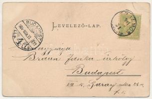 1904 Perjámos, Periam; Hungária szálloda, Községháza, Főszolgabíróság. Gatter és Frischmann kiadása ...