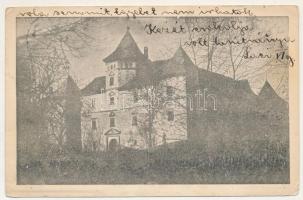 1918 Aranyosmeggyes, Aranyosmegyes, Aranyosmedgyes, Mediesu Aurit; Lónyay kastély / castle (EK)