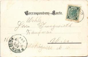 1901 Sloup, Hotel Sosuvka, Der Hain in der Sosuvka-Höhle. Anton Odehnal / hotel, cave interior (tiny...