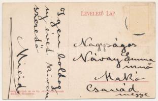 Mezőszengyel, Sanger; Teleki (Betegh) kúria, kastély. Dunky Fivérek cs. és kir. udv. fényképészek ki...