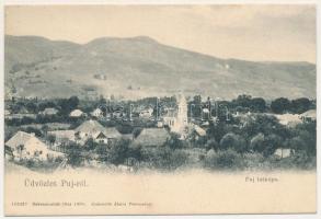 1906 Puj, Pui (Hunyad); látkép, templom. Joánovits János kiadása / general view, church + "PETROZSÉNY - PISKI 128. SZ." vasúti mozgóposta bélyegző