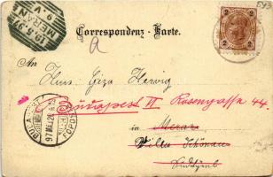 1897 Kaprun, Kaprunerthal (Zell am See), Kitzsteinhor, Rainerhütte, Karlinger Gletscher, Orglerhütte...