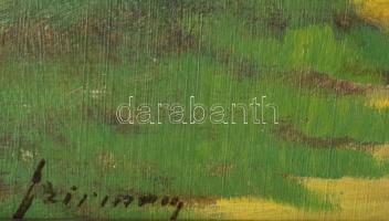 Szirmay (Szirmai) Antal: (1860 - 1927): Szigliget, part. Olaj, karton. Jelzett keretben. 20x15 cm