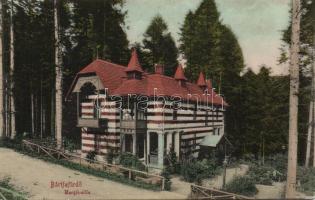 Bártfafürdő Villa Margit
