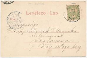 1905 Aranyosgyéres, Gyéres, Ghiris-Aries, Campia Turzii; Ifj. Báró Wesselényi Miklósné kastélya és p...