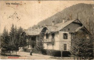 1910 Tátra, Barlangliget, Höhlenhain, Tatranská Kotlina; Vaskapu villa / villa (b)