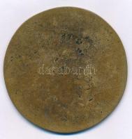 Pató Róza (1934-2018) 1994. "Rádics Károly író 1994" egyoldalas, öntött bronz plakett (~66...