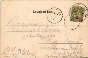 1902 Gyulafehérvár, Karlsburg, Alba Iulia; Alsó várkapu, új kapu, Károly kapu. Papp György kiadása /...