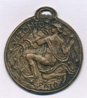 Pató Róza (1934-2018) DN "Vízöntő" egyoldalas, öntött bronz plakett (~54mm) Szign.:Pató T:AU