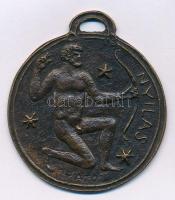 Pató Róza (1934-2018) DN "Nyilas" egyoldalas, öntött bronz plakett (~53mm) Szign.:Pató T:AU