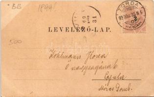 1899 Torda, Turda; látkép madártávlatból / general view (EK)