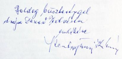 Szentgyörgyi Kálmán: Pilóták egy családban. Szekszárd, 2000, Babits Kiadó. Kiadói kartonált papírköt...
