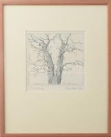 Kőhegyi Gyula (1933-): Fa tanulmány. Rézkarc, papír. Jelzett, próbanyomat, üvegezett keretben 18x16 ...
