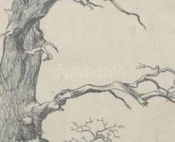 Kőhegyi Gyula (1933-): Fa tanulmány. Rézkarc, papír. Jelzett, próbanyomat, üvegezett keretben 18x16 ...