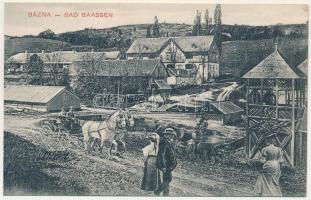 Báznafürdő, Bad Baassen, Baile Bazna; fürdő, montázs emberekkel és hintóval. Fritz Guggenberger kiadása / spa, montage with people and horse-drawn carriage (EK)