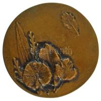 Kubászova Tamara (1939-2024.) DN "Levelek" bronz, öntött, egyoldalas plakett (95mm) T:AU patina