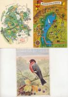 28 db MODERN állatvilág képeslap + 17 db MODERN térkép képeslap belépőjegyekkel