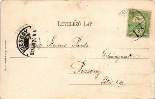 1907 Temesvár, Timisoara; Lonovits utca, Hungária szálloda. Divald Károly 782. / street, hotel (gyűr...