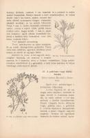 Wagner János: Magyarország gyomnövényei. Írta és a színes táblákat festette Wagner János. 12 táblán ...