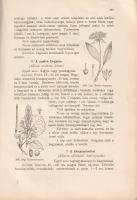 Wagner János: Magyarország gyomnövényei. Írta és a színes táblákat festette Wagner János. 12 táblán ...