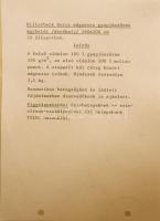 Billerbeck Doris mágneses gyapjúszőrme ágybetét derékalja, 160x200 cm, jó állapotban