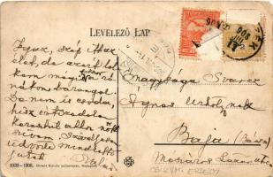 1908 Borszék, Borsec; Strul és Eperjesi nyaralók, villa. Divald Károly műintézete 1939-1908. / villa...