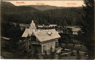 1909 Borszék, Borsec; Villa Reiter, Villa Caritás. Soós kiadása / villas, spa (Rb)