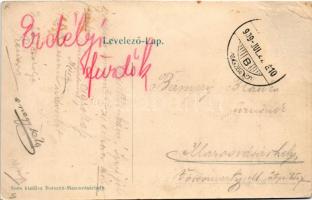 1909 Borszék, Borsec; Villa Reiter, Villa Caritás. Soós kiadása / villas, spa (Rb)