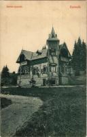 Borszék, Borsec; Reitter nyaraló / spa, villa (EK)