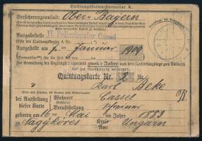 1909 Magyar születésű hadirokkant számára kiállított utazási kártya