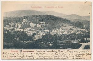 1906 Borszék, Borsec; látkép, nyaralók / general view with villas (EB)