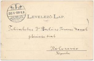 1906 Borszék, Borsec; látkép, nyaralók / general view with villas (EB)