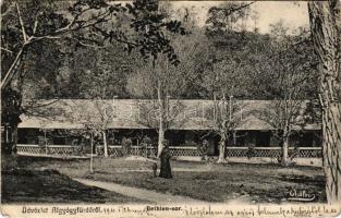 1911 Feredőgyógy, Fürdőgyógy, Algyógyfürdő, Baile Geoagiu, Feredeu; Bethlen sor. Adler fényirda kiadása (Szászváros) / house (EB)