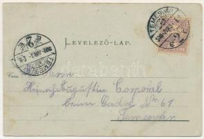 1900 Karánsebes, Caransebes; Fő utca, Lichtneckert szálloda / main street, hotel. Art Nouveau, flora...