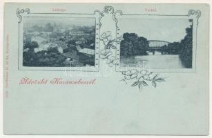 Karánsebes, Caransebes; látkép, vashíd. Perlfaster H. és fia kiadása / general view, iron bridge. Art Nouveau, floral (fl)