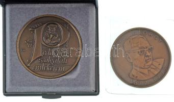 1985. "Pólya György 1887-1985 / Hatodik Nemzetközi Kongresszus a Matematika Oktatásról" bronz, kétoldalas, vert emlékérem (42mm) + Fritz Mihály (1947-) DN "Pedagógus Szolgálati Emlékérem" bronz, egyoldalas, vert emlékérem dísztokban (43mm) T:AU