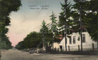 Lelesz main street