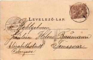 1900 Gyulafehérvár, Karlsburg, Alba Iulia; Losenau szobor, Tisztipavilon. Bernhard Weiss kiadása / m...